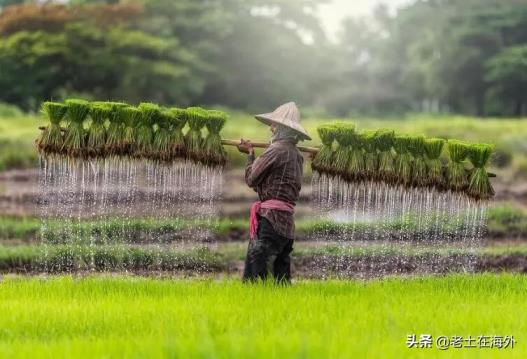 柬埔寨属于哪个国家柬埔寨位于哪里