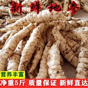 新鲜地参食用方法「新鲜地参食用方法有什么」