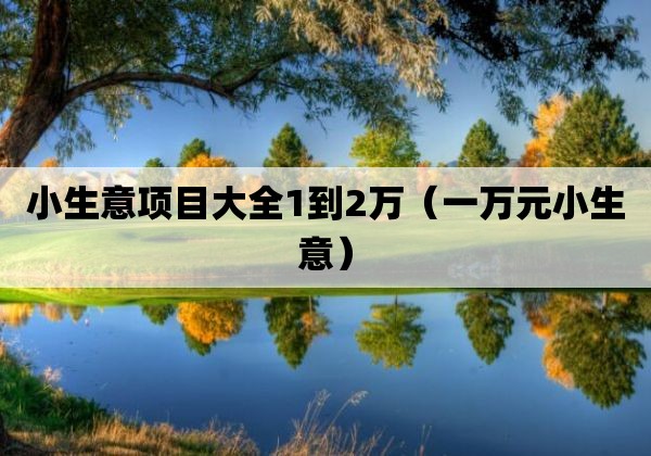 小生意项目大全1到2万「一万元小生意」