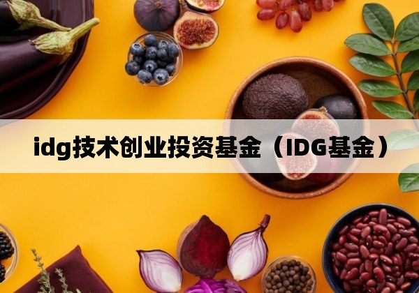 idg技术创业投资基金「IDG基金」