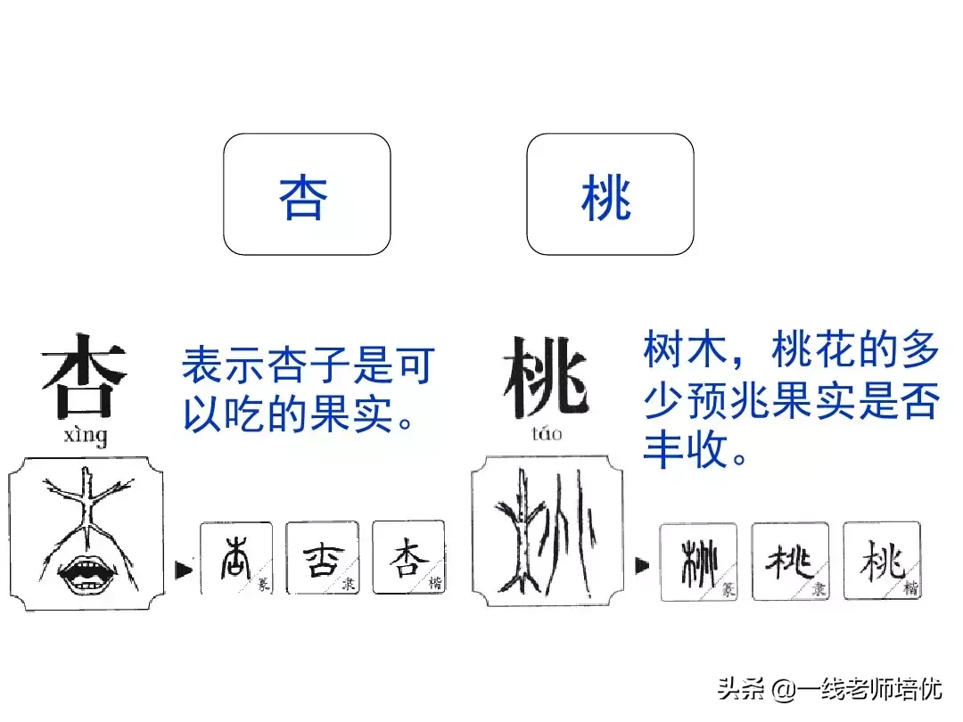 反犬旁和什么有关反犬旁跟什么有关