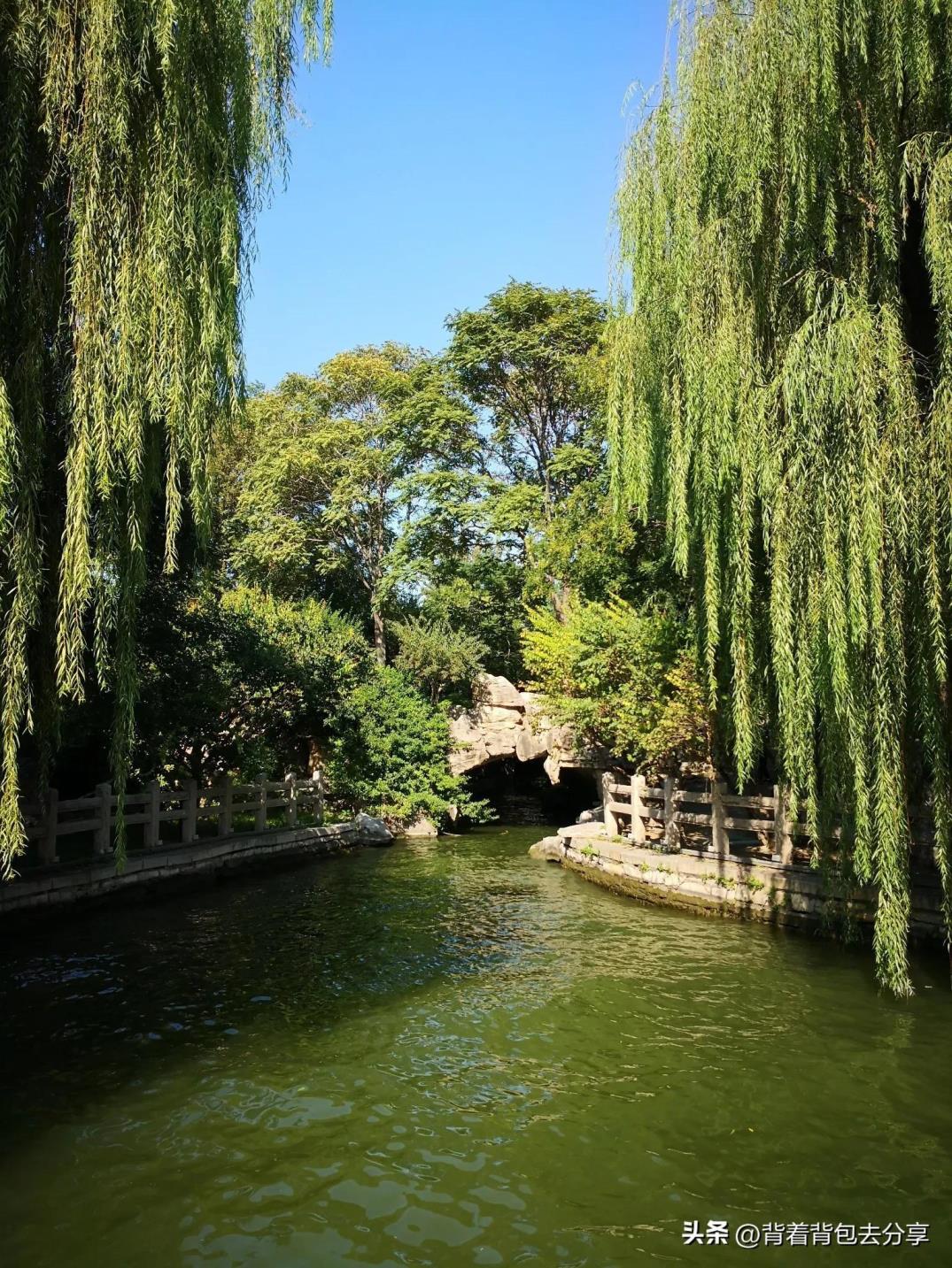 山东不要门票的免费旅游景区「山东免费的十大景点有哪些」