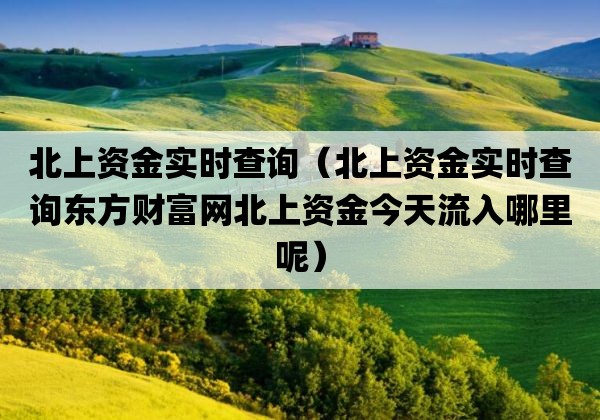 北上资金实时查询「北上资金实时查询东方财富网北上资金今天流入哪里呢」