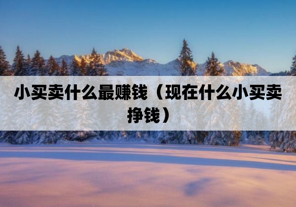 小买卖什么最赚钱「现在什么小买卖挣钱」