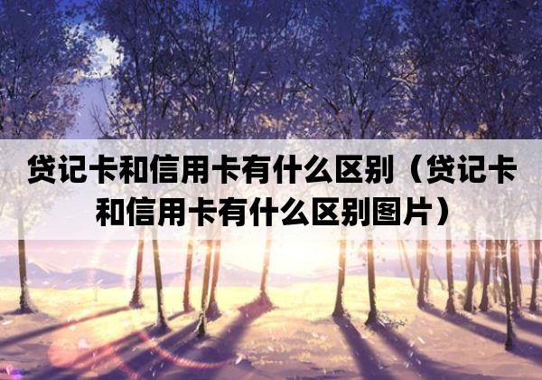 贷记卡和信用卡有什么区别「贷记卡和信用卡有什么区别在哪里」