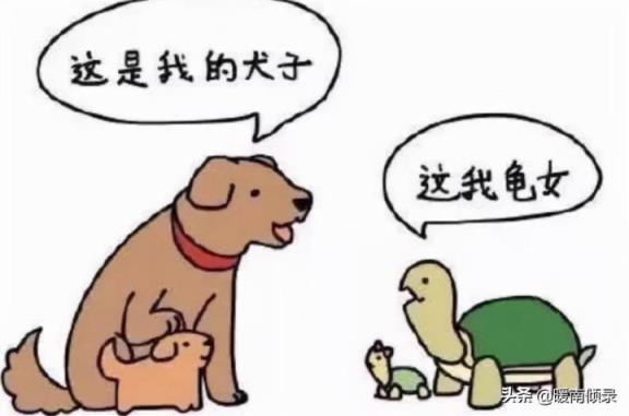 犬子对应的女儿叫什么「儿子谦称犬子女儿谦称什么」