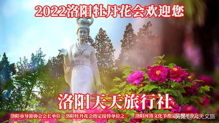 洛阳牡丹花会地点「洛阳卖牡丹苗哪里有卖」