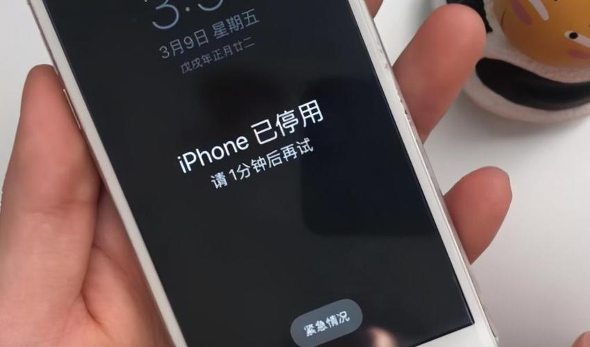 已在iphone上停用查找什么意思「已在iphone上停用查找的意思」