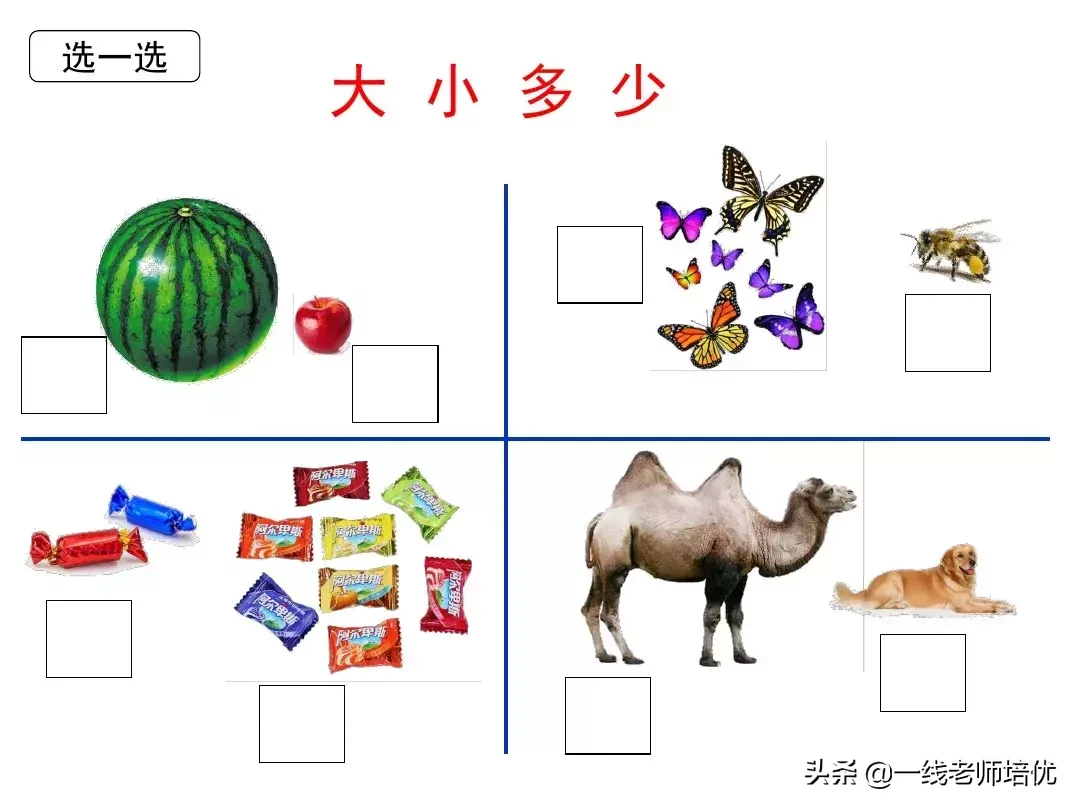 反犬旁和什么有关反犬旁跟什么有关